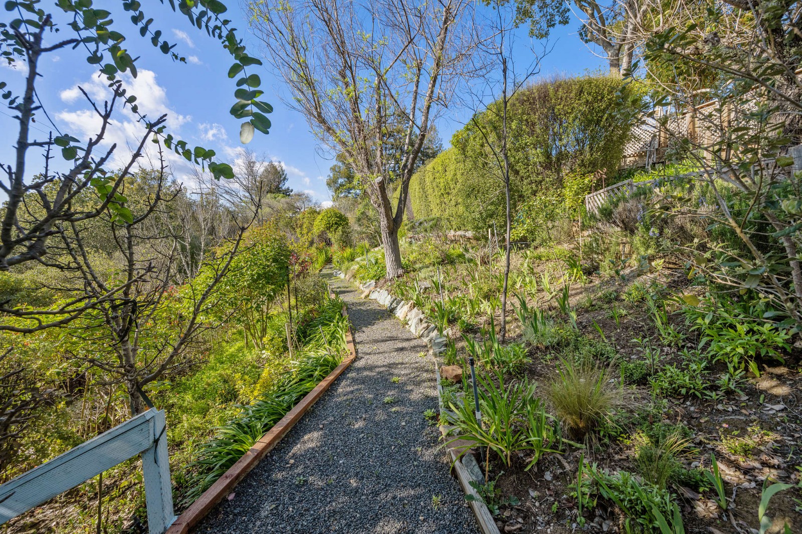 1236 N. Fitch Mountain Road, Healdsburg Ann Amtower Compass